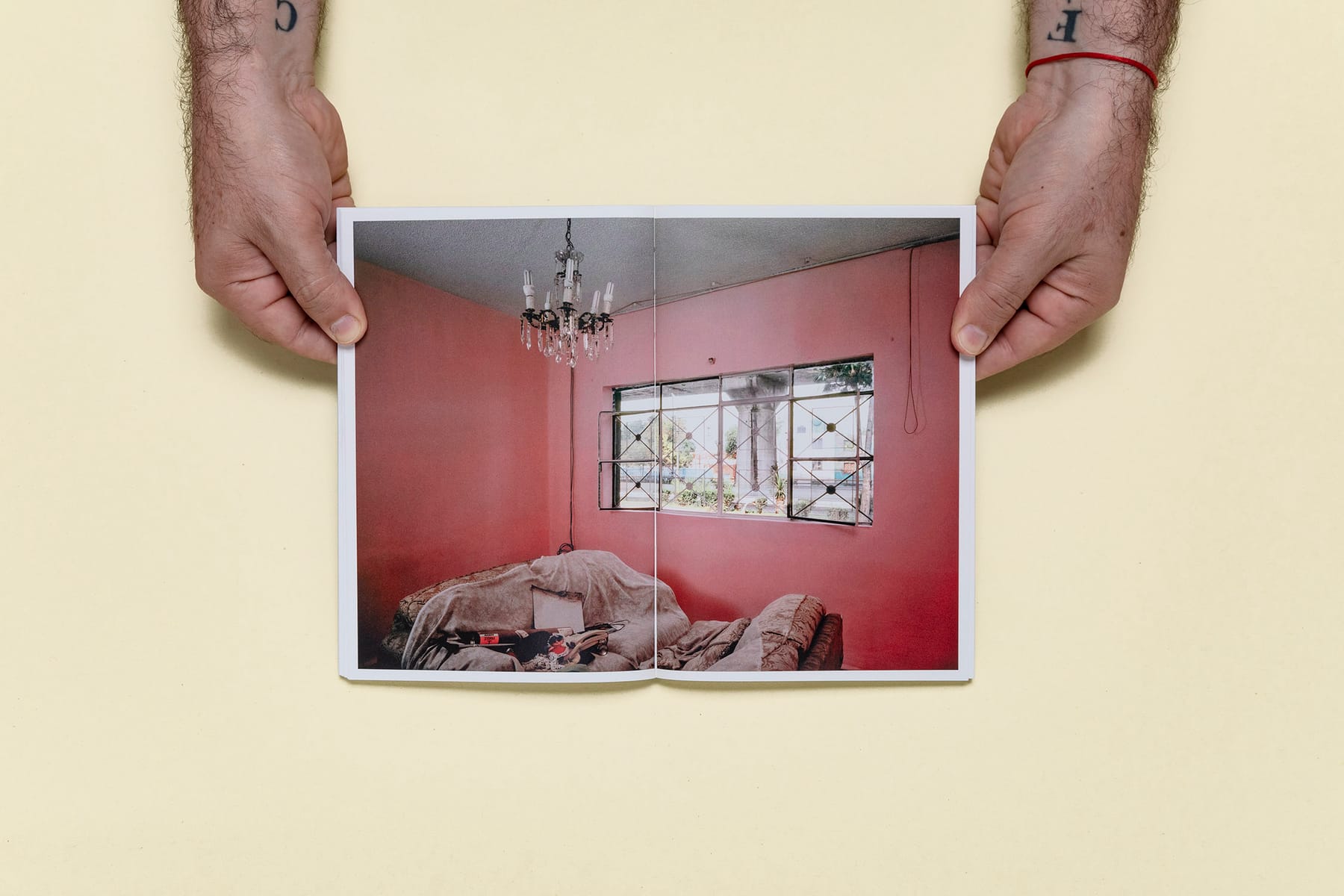 A Guide to Infrastructure and Corruption 13