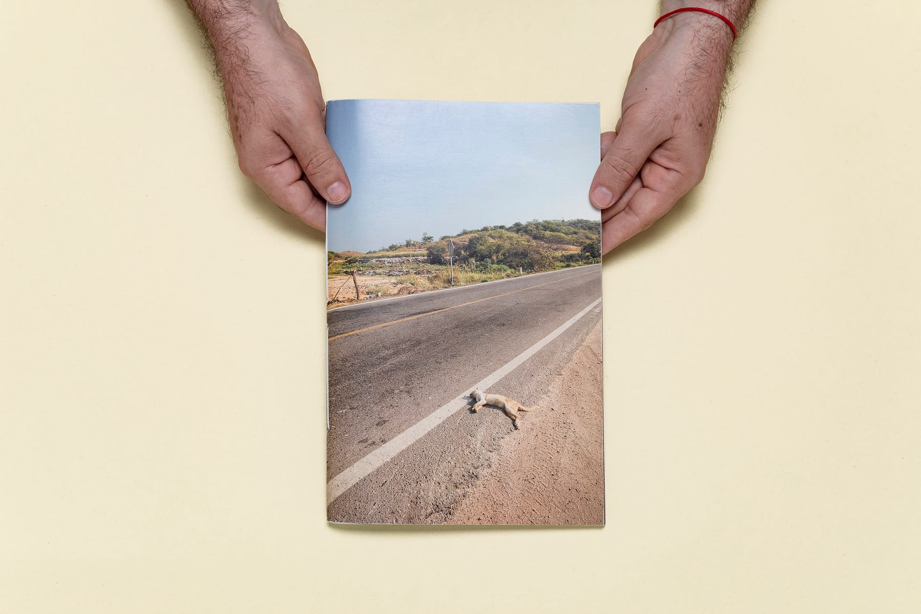 Carretera Nacional (Editor) 1