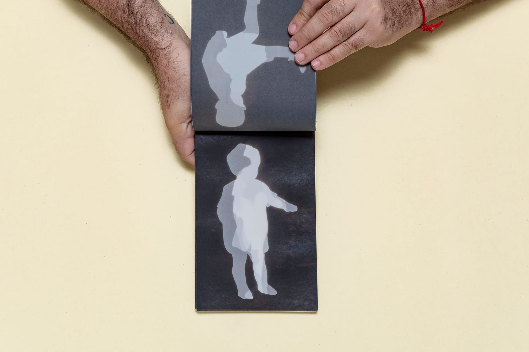 Fossils 2