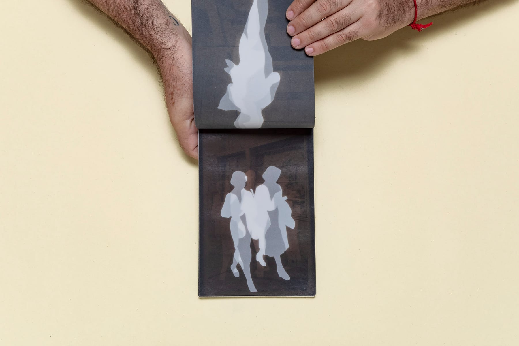 Fossils 3