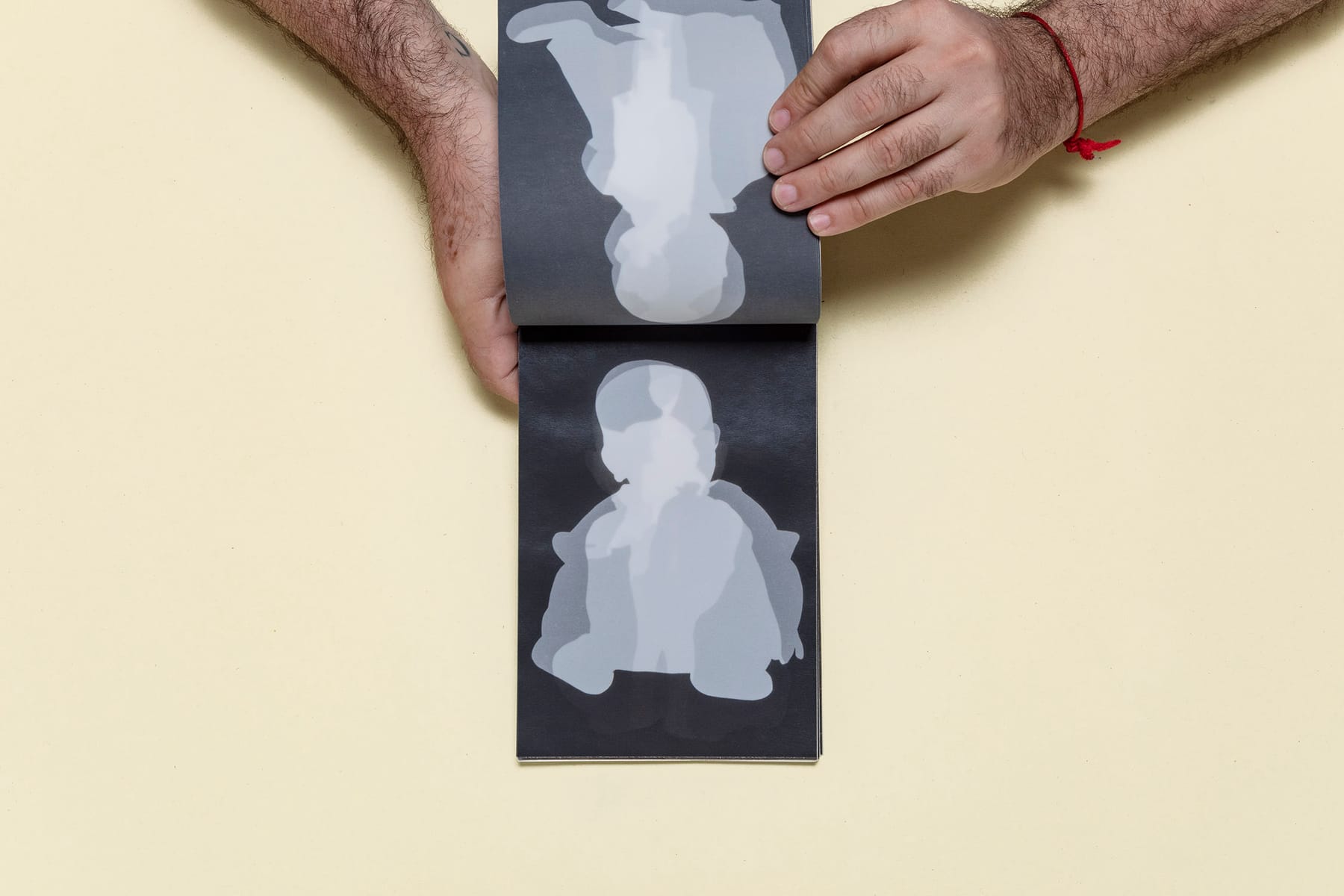 Fossils 7