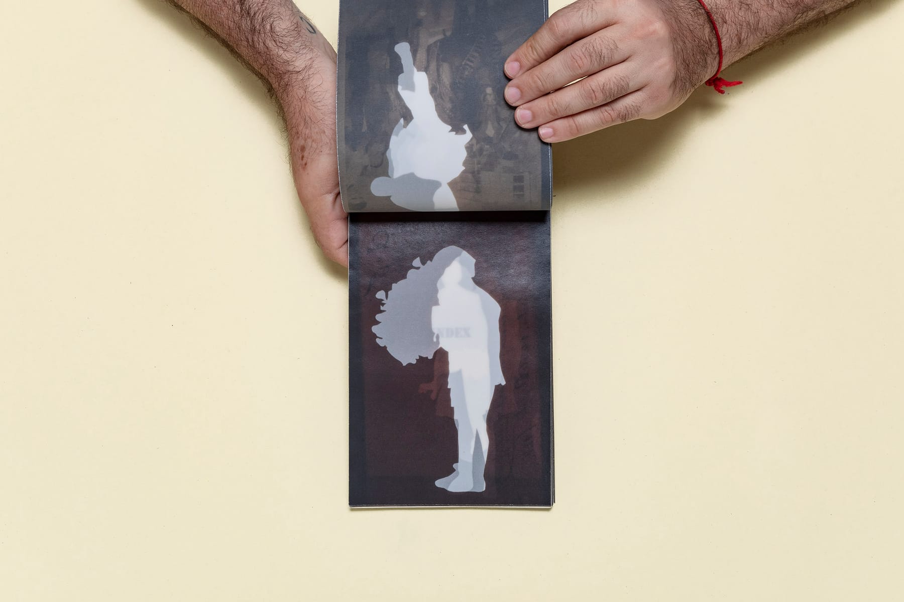 Fossils 9